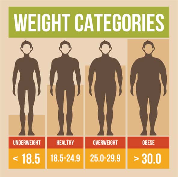 bmi calculator with waist