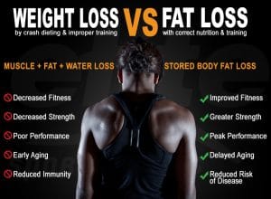 The Difference Between Weight Loss and Fat Loss