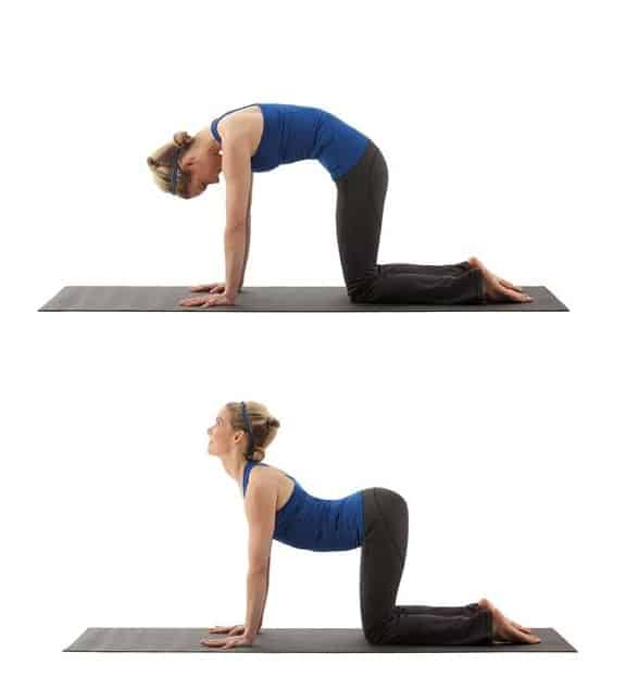Yoga asanas every busy woman must do daily | The Times of India