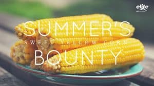 Summer’s Bounty: Sweet Yellow Corn