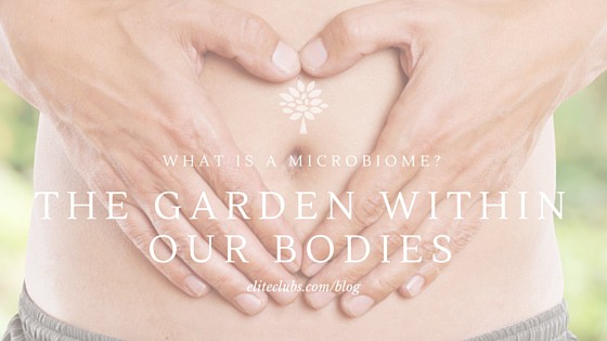 What is a Microbiome - The Garden Within Our Bodies