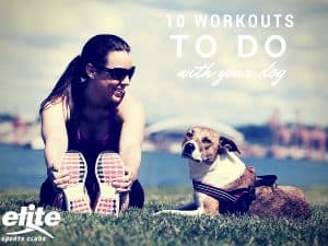 10 Workouts To Do With Your Dog
