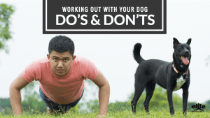 Working Out With Your Dog: Do’s & Don’ts