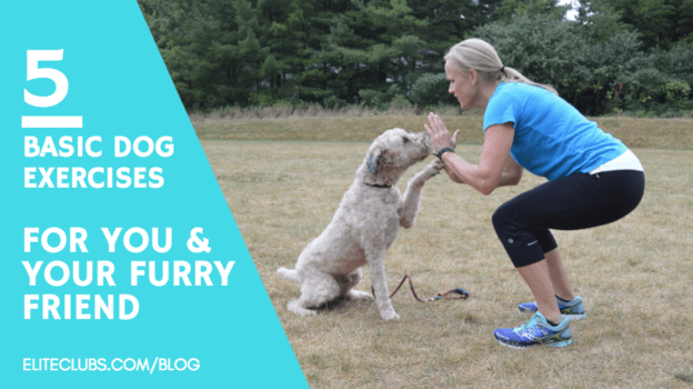 5 Basic Dog Exercises for You & Your Furry Friend