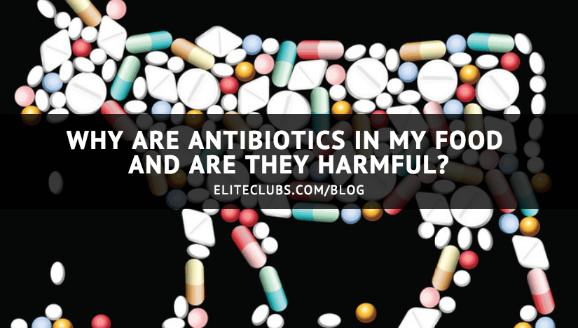 Why are Antibiotics in My Food and are They Harmful?