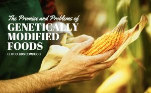 Promise and Problems of Genetically Modified Foods