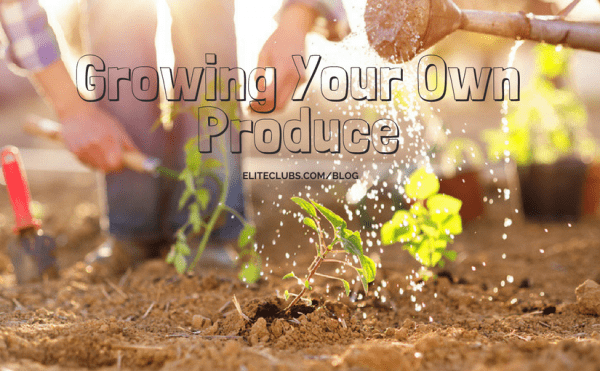 Growing Your Own Produce