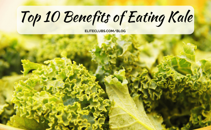 Top 10 Benefits of Eating Kale