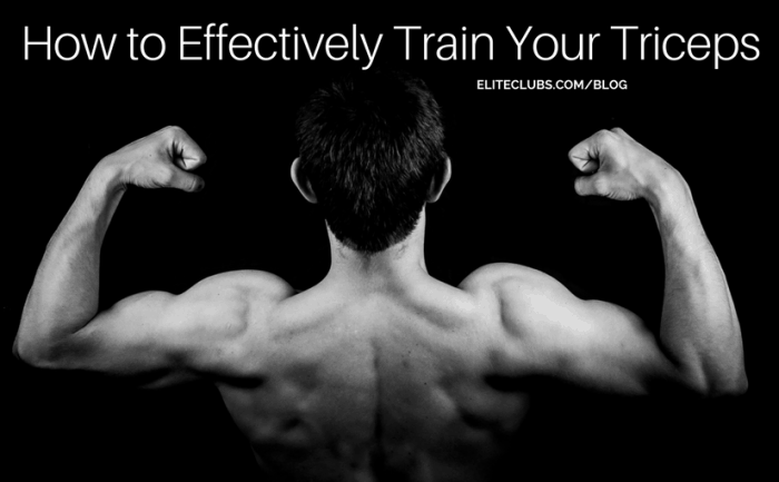 How to Effectively Train Your Triceps