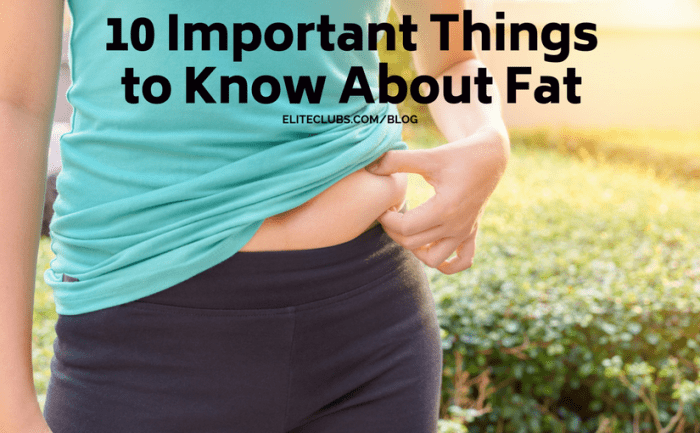 10 Important Things to Know About Fat