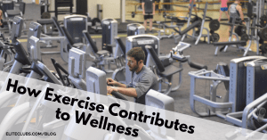 How Exercise Contributes to Wellness