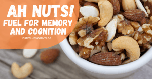 Ah Nuts! Fuel for Memory and Cognition