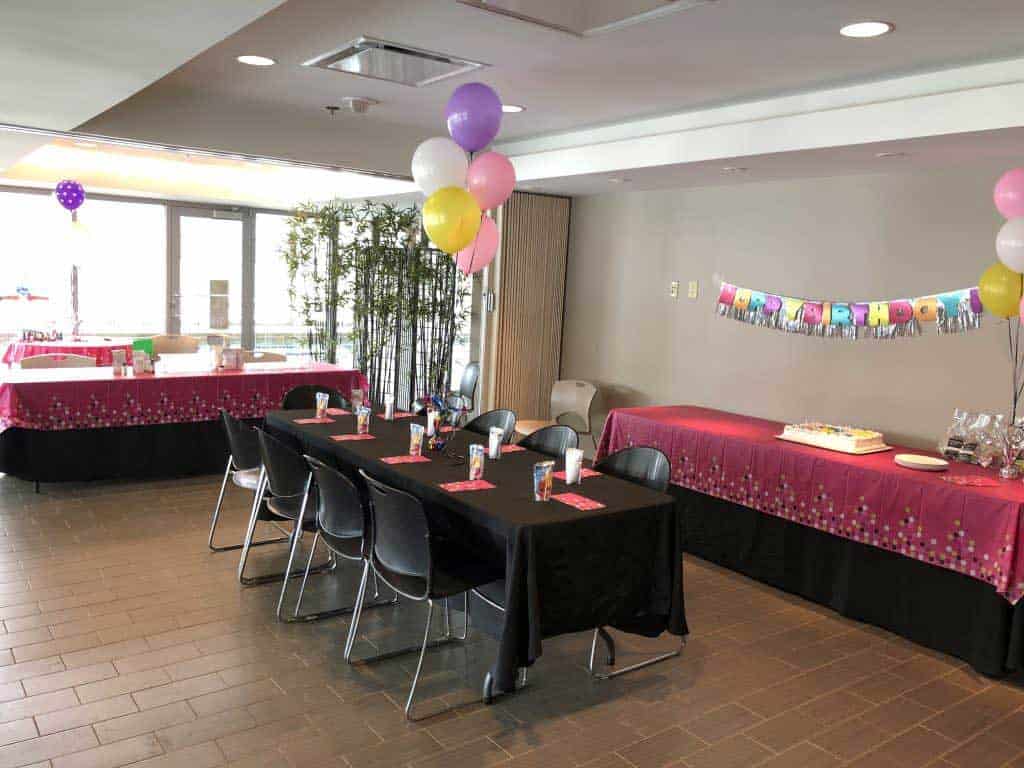 Milwaukee Venue for the Best Kids Birthday Party Elite Sports Clubs