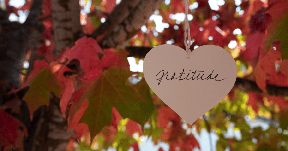 The Power of Gratitude - Giving Thanks for Good Health