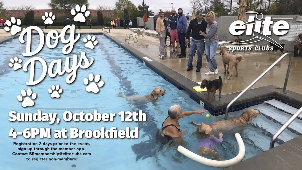 Dog Days - Brookfield - October 12 2025